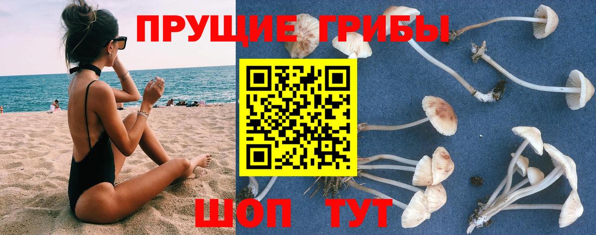 Галлюциногенные грибы мицелий Конаково