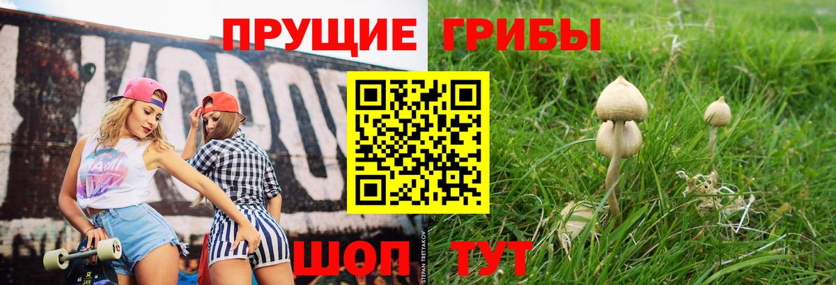Конаково  Галлюциногенные грибы MAGIC MUSHROOMS  Вход с VPN 